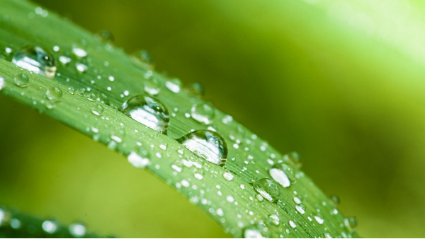 潮濕多雨天氣，人都要發(fā)霉了，那些電氣設(shè)備該怎么辦？